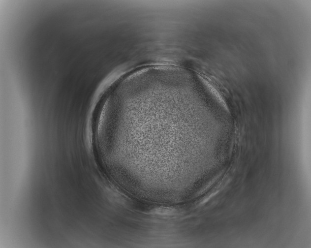 X0000111870294200908061259