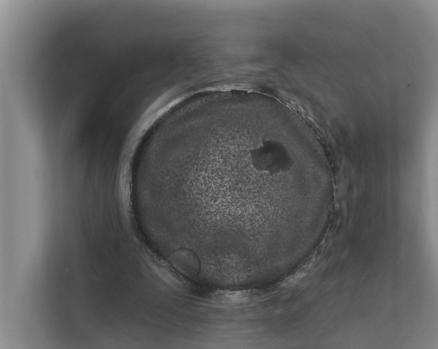 X0000111870295200908061259