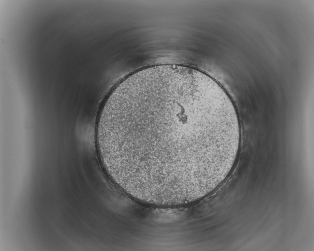 X0000111870297200908061259