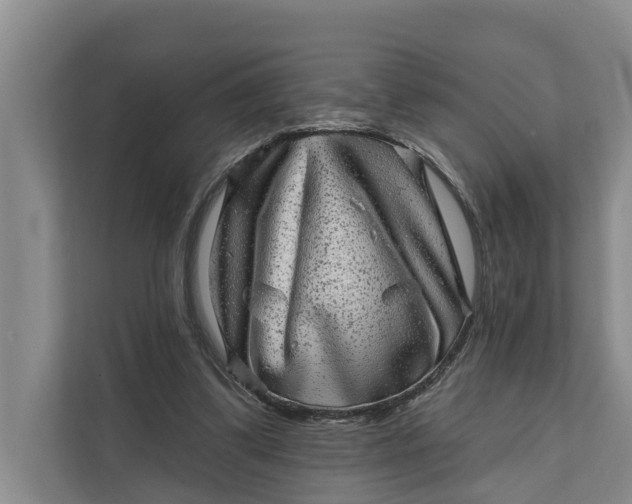 X0000111870299200908061259