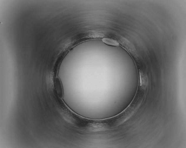 X0000111870300200908061259