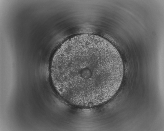 X0000111870302200908061259