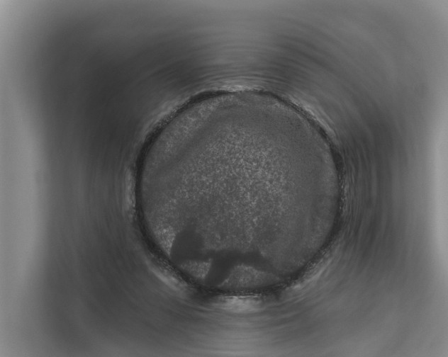 X0000111870303200908061259