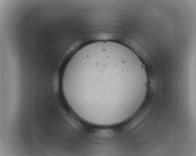 X0000111870304200908061259