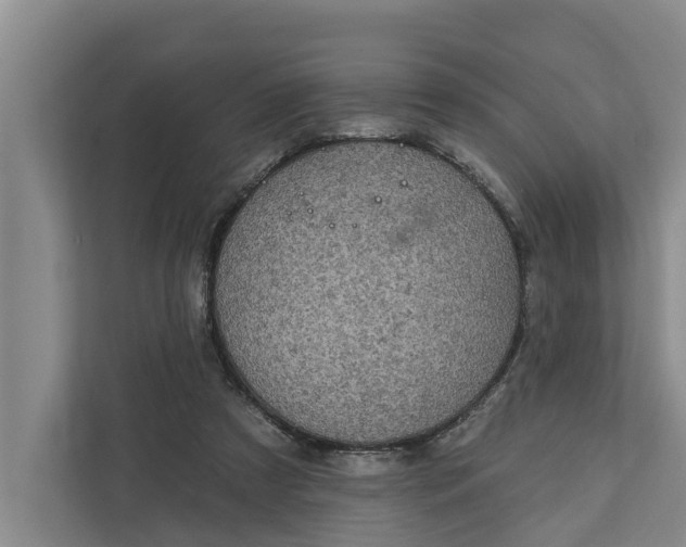 X0000111870305200908061259