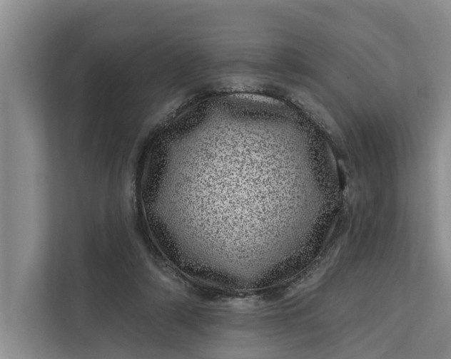 X0000111870306200908061259