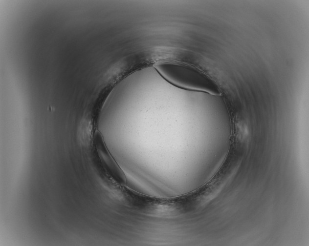 X0000111870308200908061259