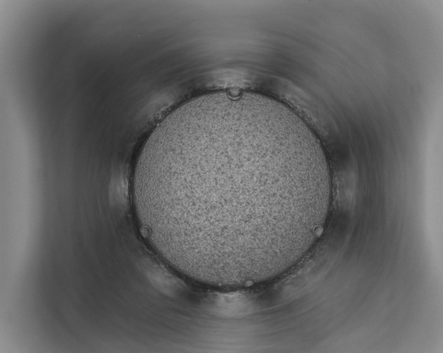 X0000111870309200908061259