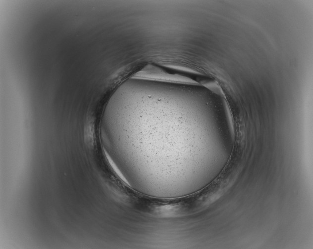 X0000111870312200908061259