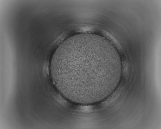 X0000111870313200908061259