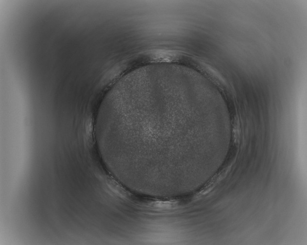 X0000111870314200908061259