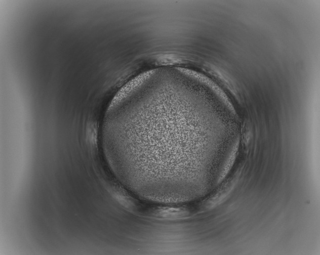 X0000111870315200908061259