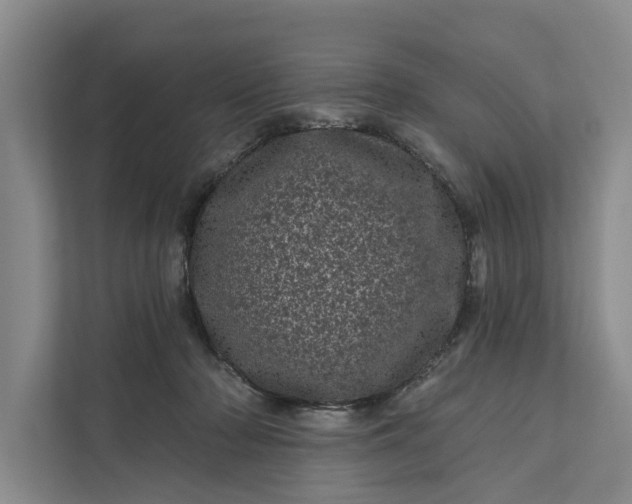 X0000111870318200908061259