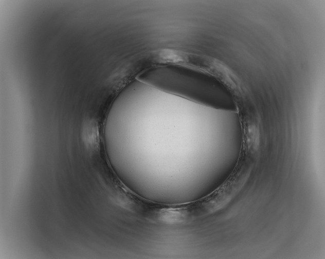 X0000111870320200908061259