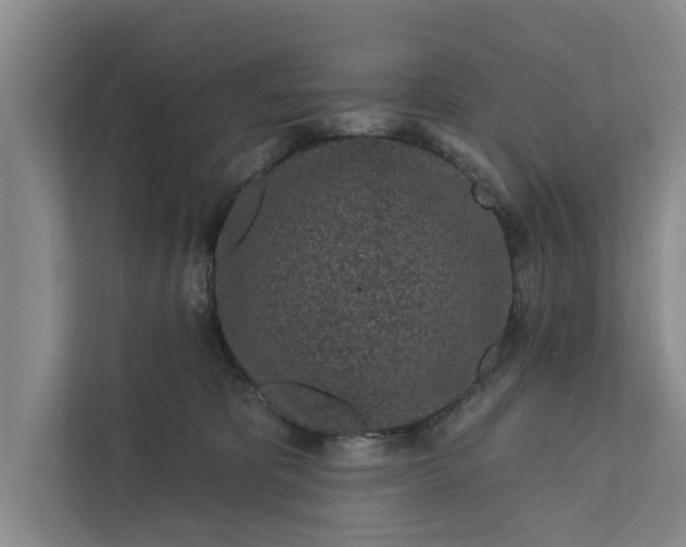 X0000111870325200908061259