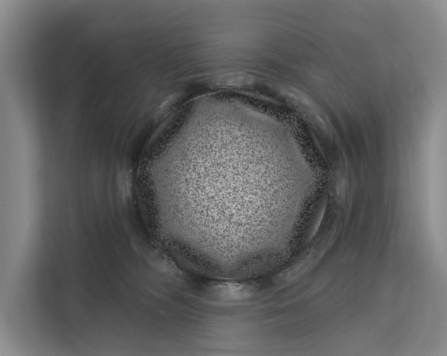 X0000111870326200908061259