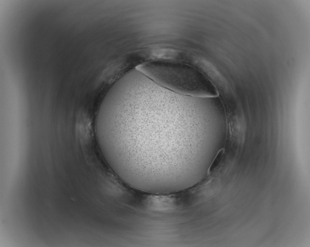 X0000111870327200908061259