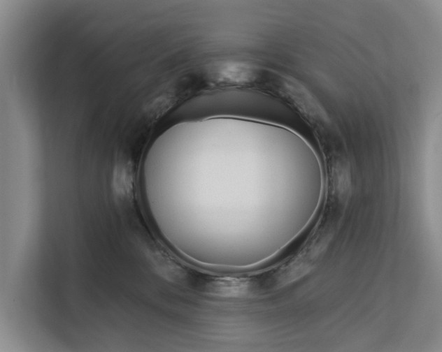 X0000111870328200908061259