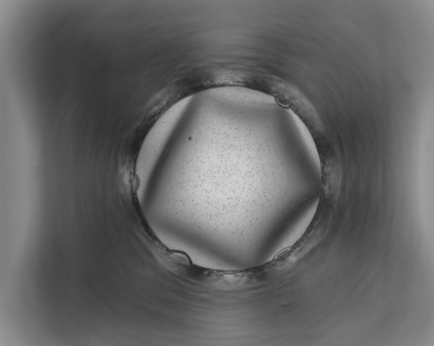 X0000111870329200908061259