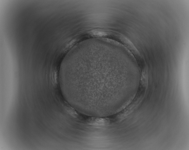 X0000111870330200908061259