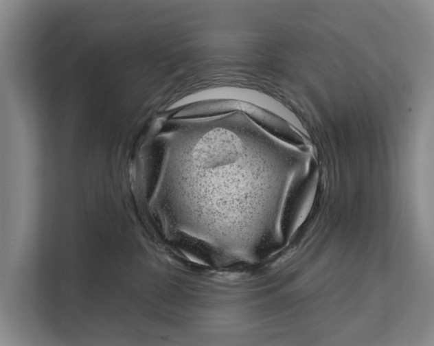 X0000111870332200908061259