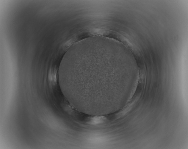 X0000111870334200908061259