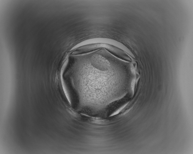 X0000111870336200908061259