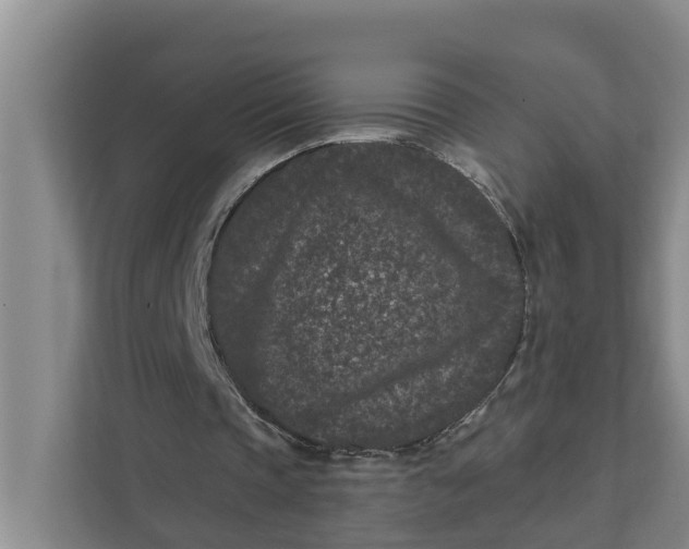 X0000111870337200908061258