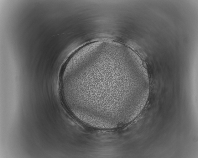 X0000111870338200908061258