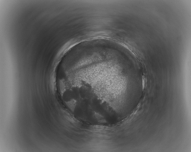 X0000111870339200908061258