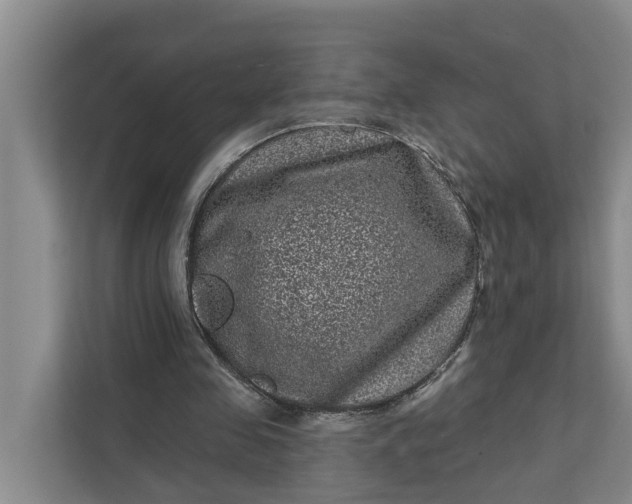 X0000111870341200908061258