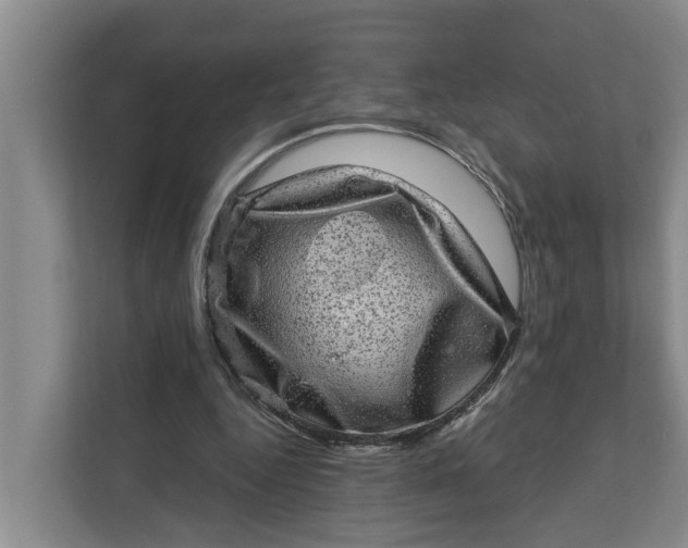 X0000111870344200908061258