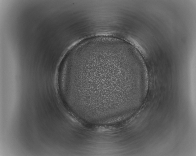 X0000111870346200908061258