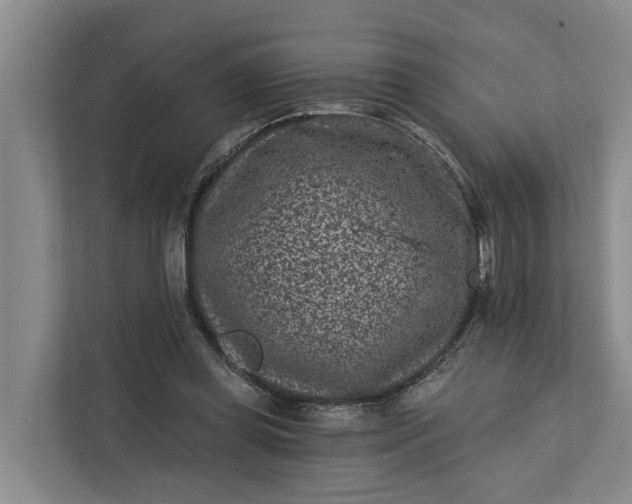 X0000111870349200908061258