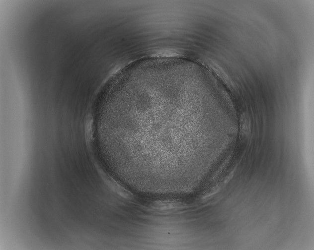 X0000111870351200908061258