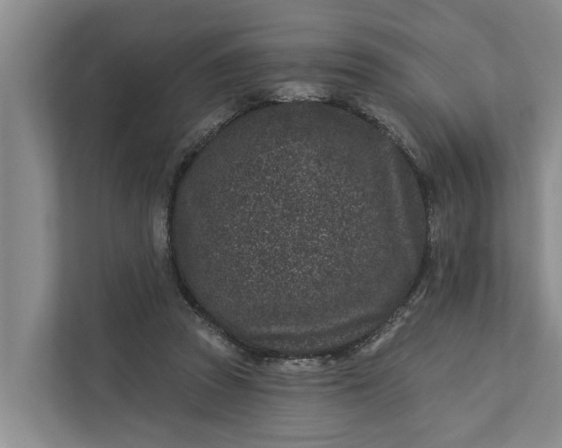 X0000111870353200908061258