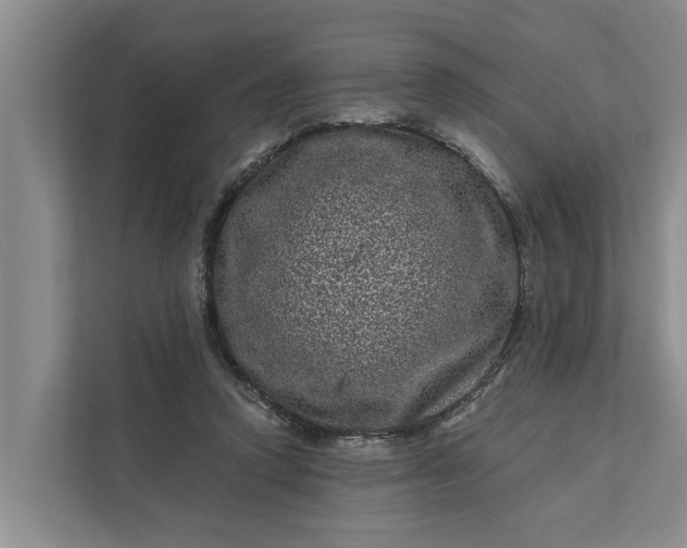 X0000111870354200908061258