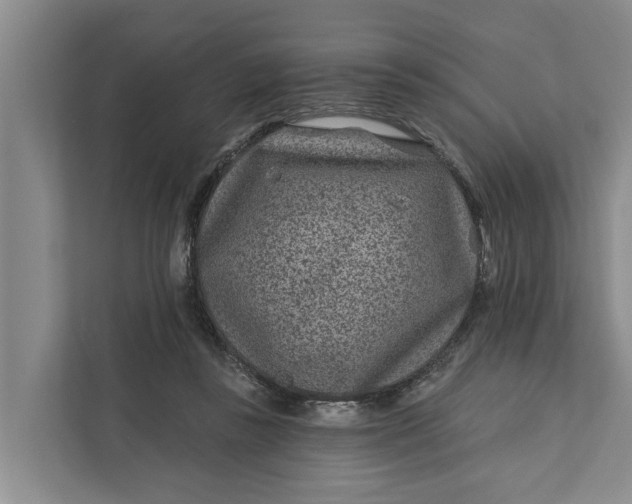 X0000111870355200908061258