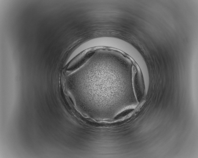 X0000111870356200908061258