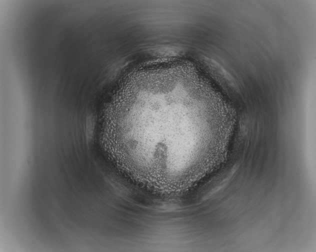 X0000111870359200908061258