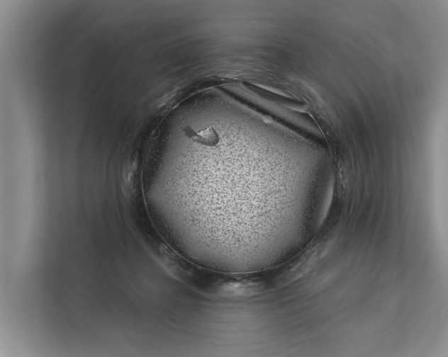 X0000111870364200908061258