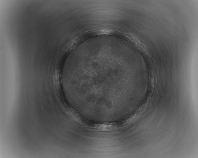 X0000111870366200908061258