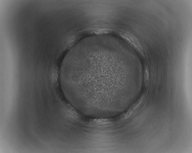 X0000111870367200908061258