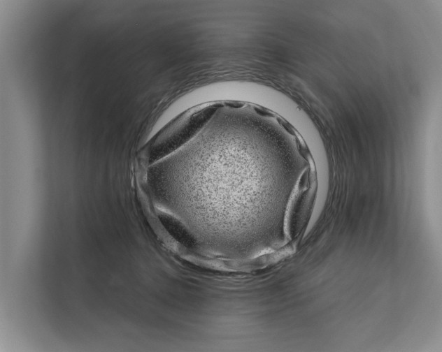 X0000111870368200908061258