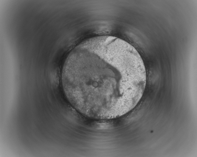 X0000111870370200908061258