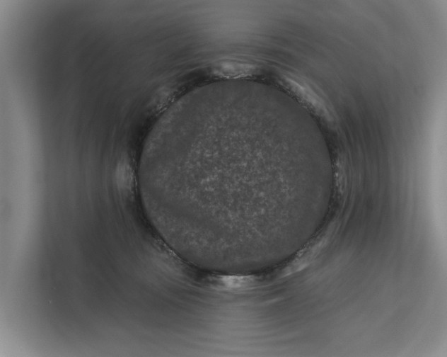 X0000111870371200908061259