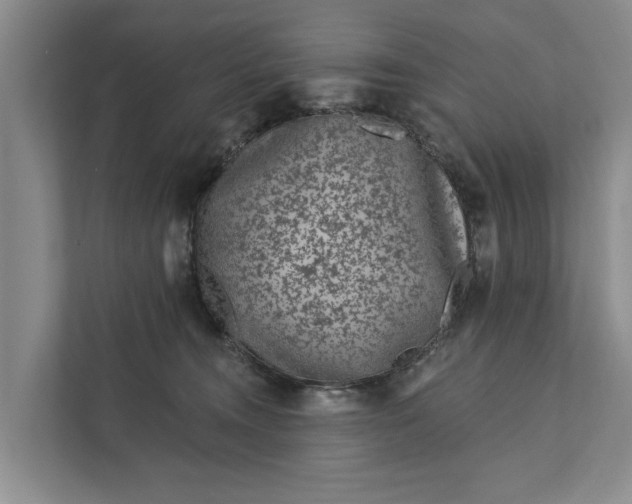 X0000111870372200908061259