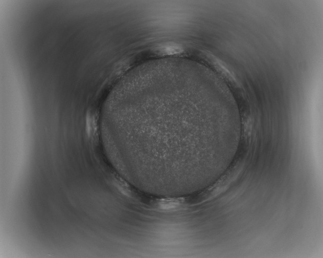 X0000111870373200908061259