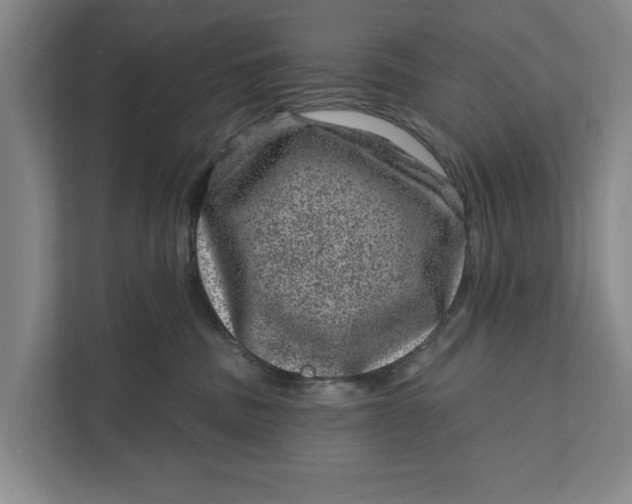 X0000111870379200908061259