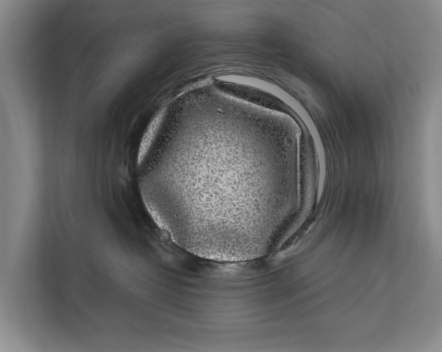 X0000111870382200908061259